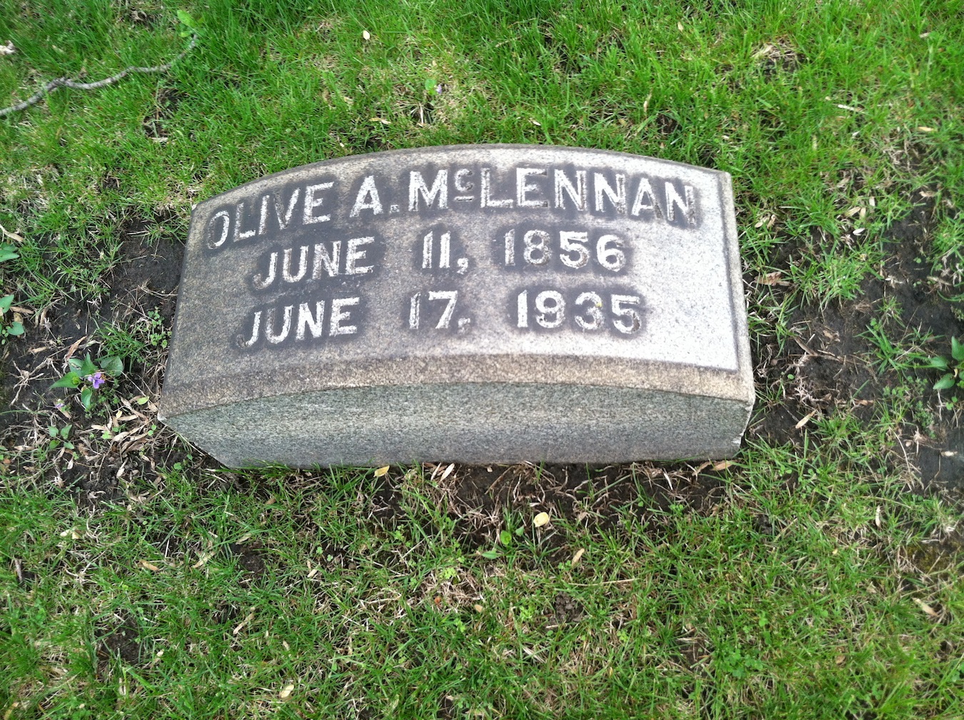 Photo of headstones/Olive A Cowen 1856-1935 hdstn Oak Woods Ce, Chicago